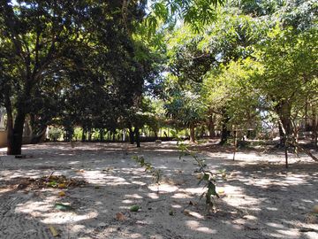 place photo 19