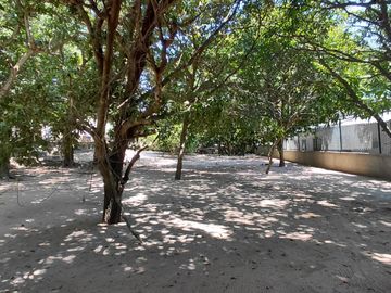 place photo 21