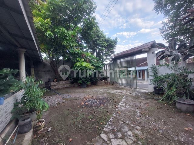 place photo 11