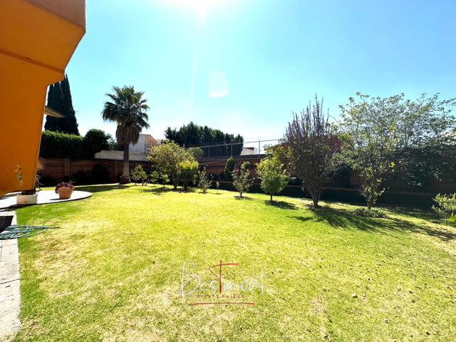 place photo 48