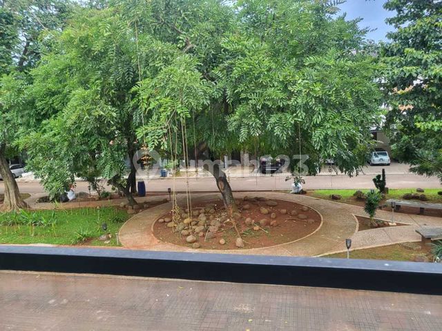 place photo 20