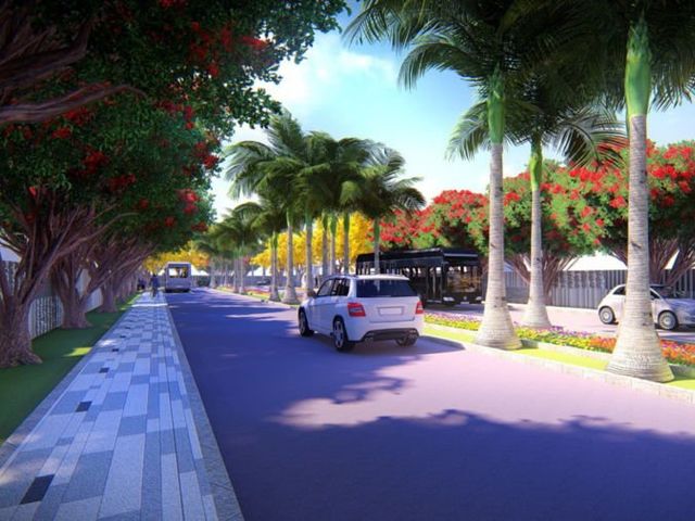 place photo 14