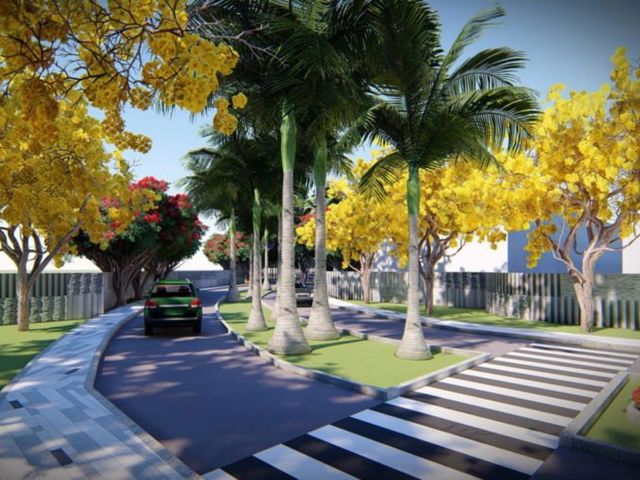 place photo 15
