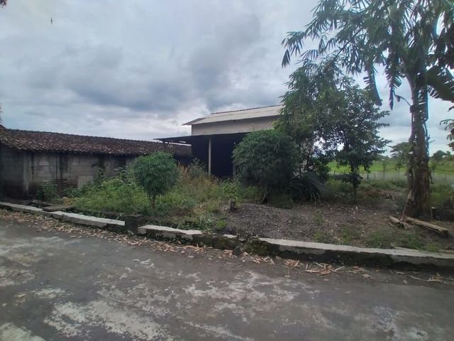 place photo 3