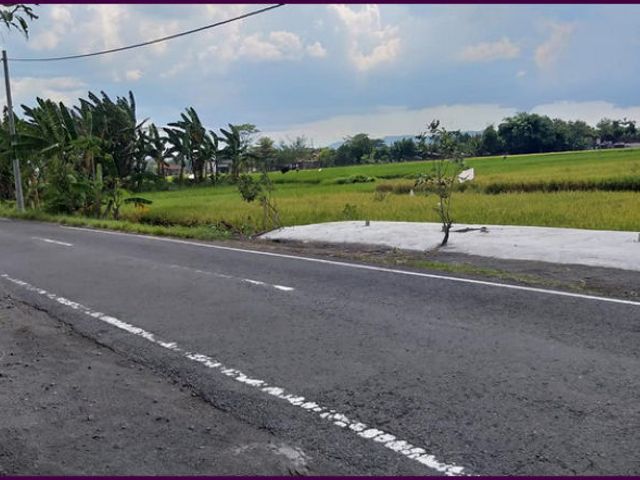 place photo 4