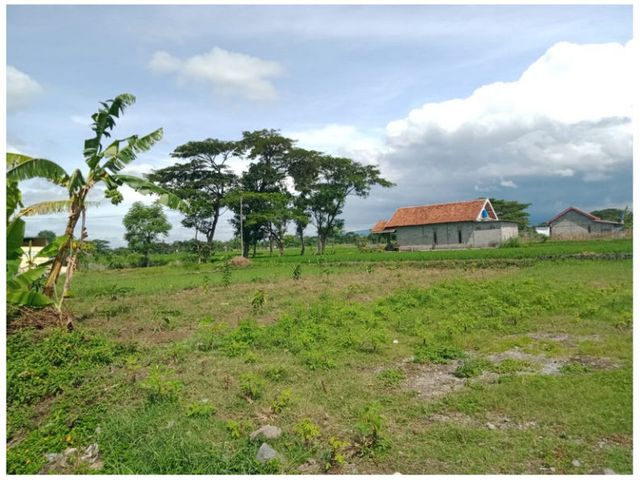 place photo 3