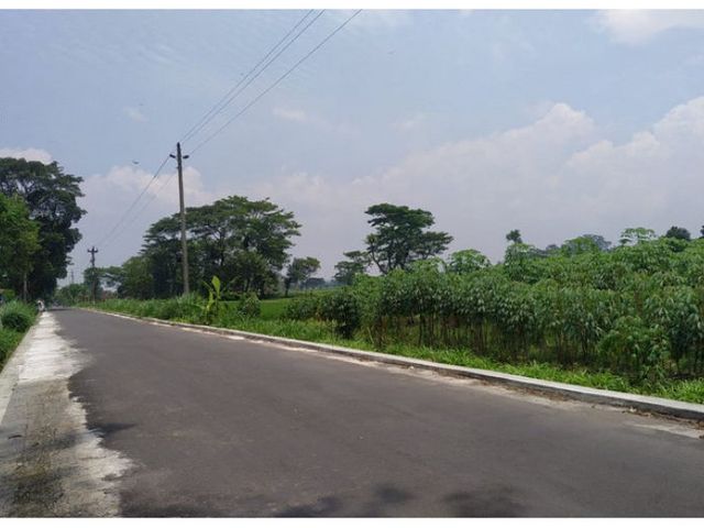 place photo 6