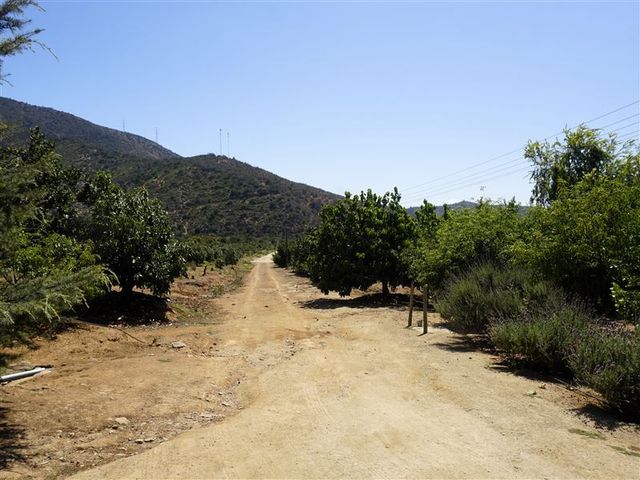place photo 53