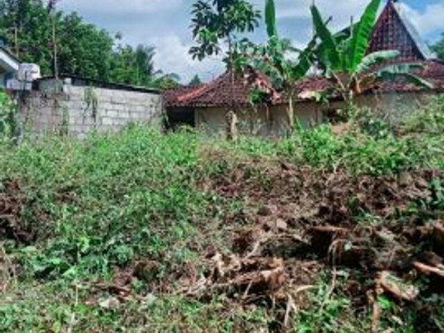 place photo 3