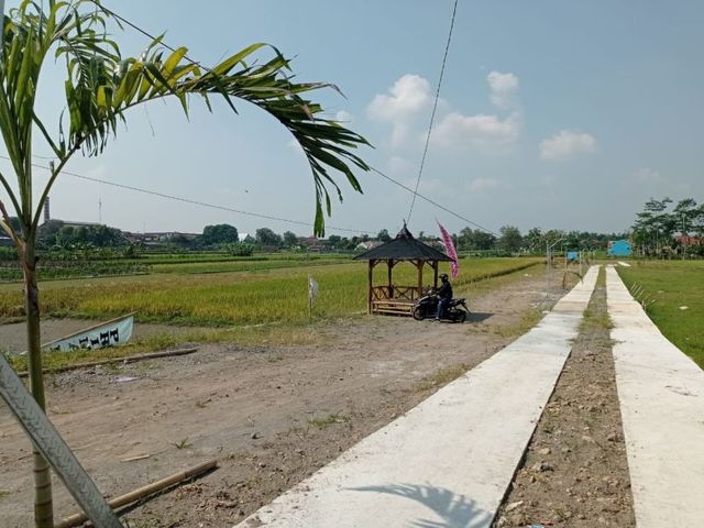 place photo 3