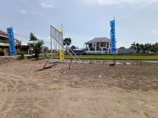 place photo 4