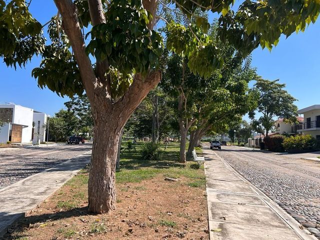 place photo 24