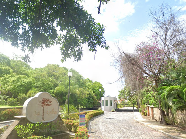 place photo 23