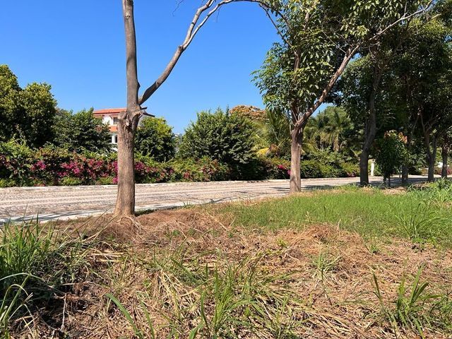place photo 22
