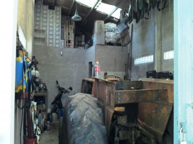 place photo 17