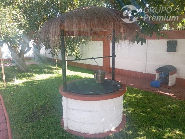 place photo 38