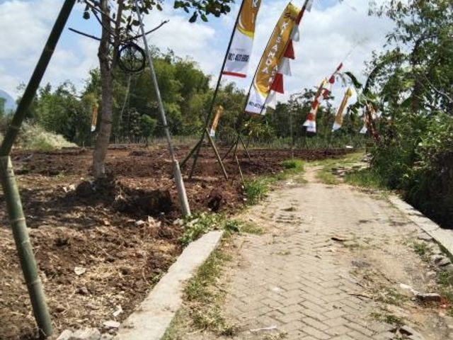 place photo 2