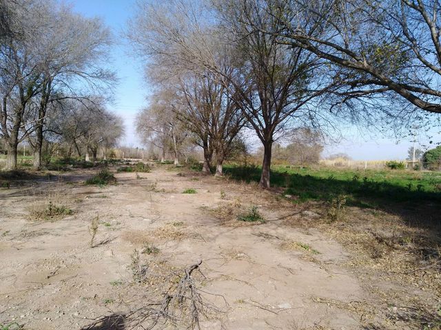 place photo 51