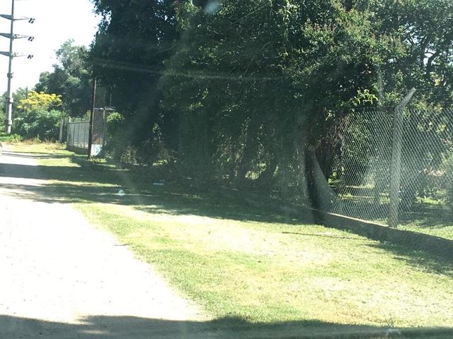 place photo 44