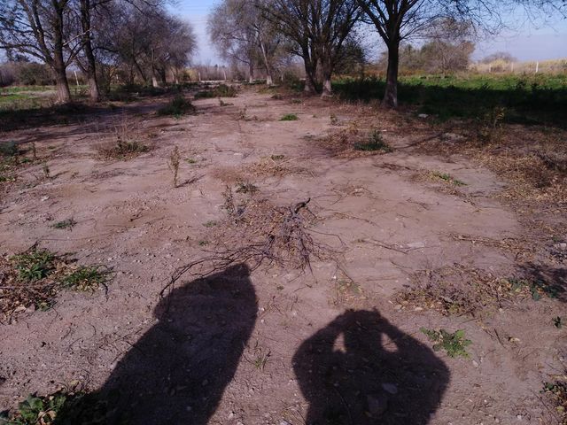 place photo 52