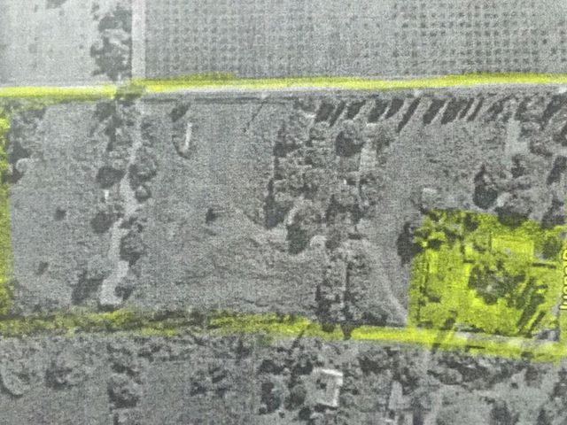 place photo 58