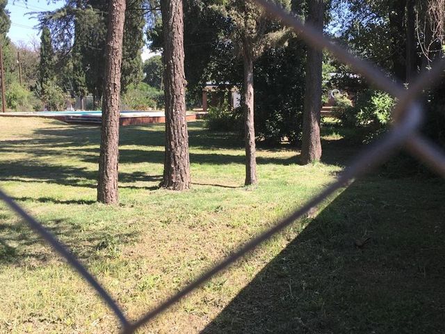 place photo 48