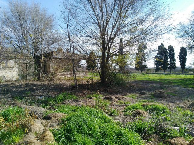 place photo 55