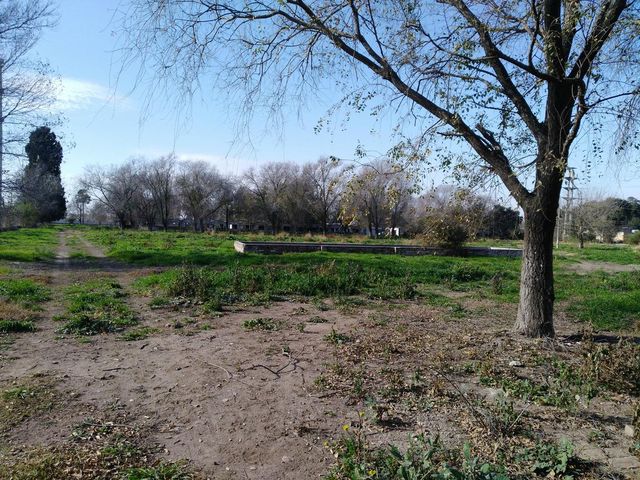 place photo 53