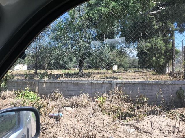 place photo 56