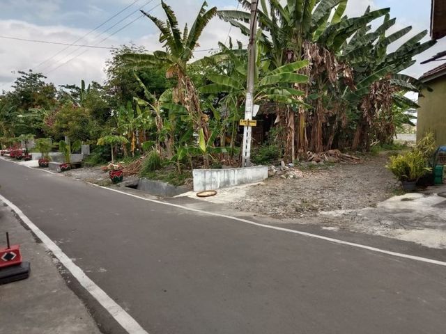 place photo 7