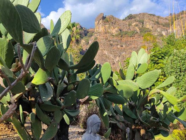 place photo 37