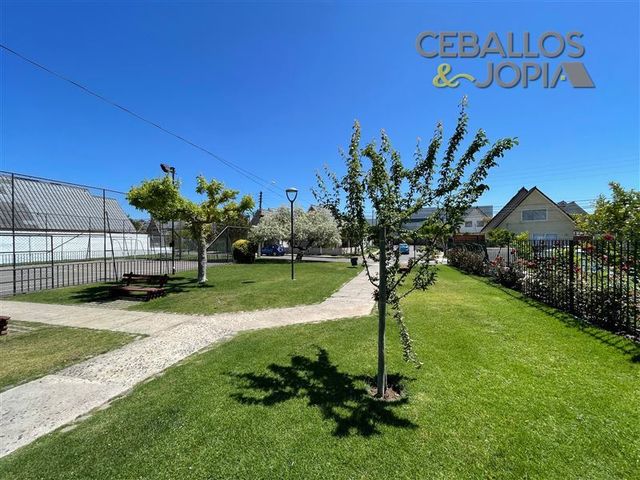place photo 30