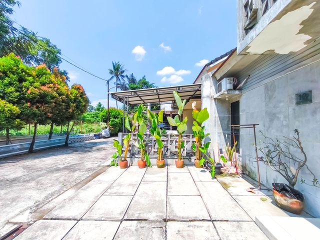 place photo 27