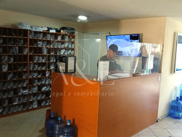 place photo 34