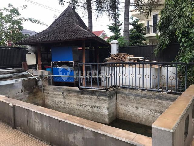 place photo 28