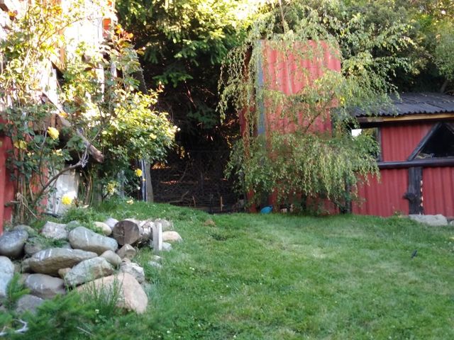 place photo 15