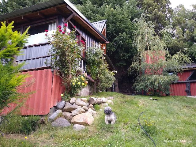 place photo 17