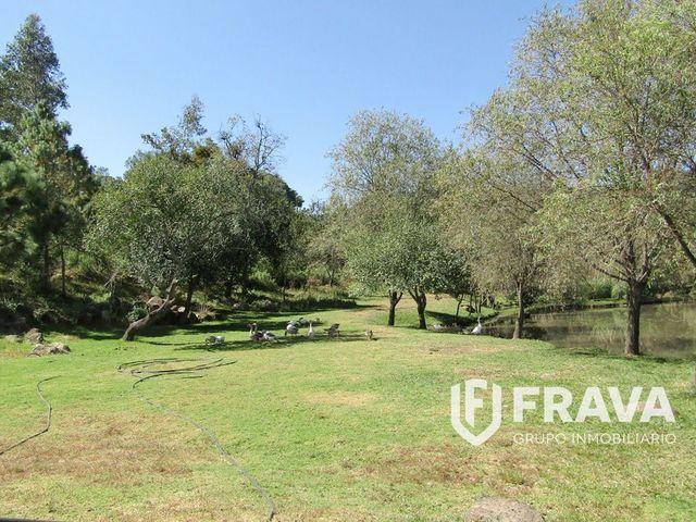 place photo 27