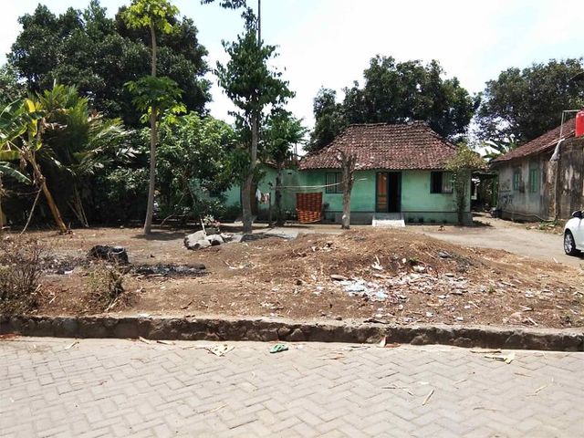 place photo 6