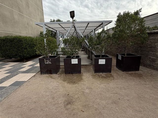 place photo 33