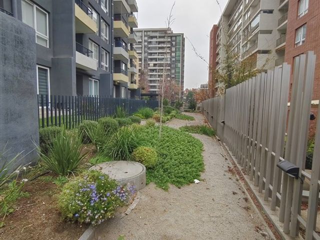place photo 38