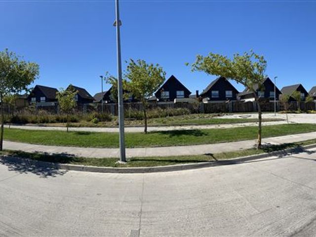 place photo 43