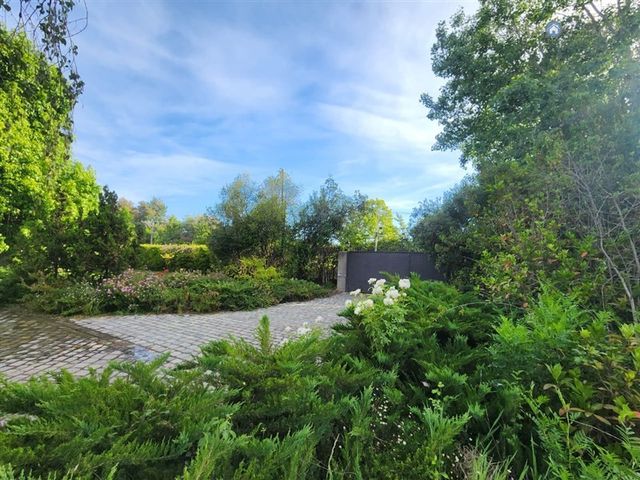 place photo 51