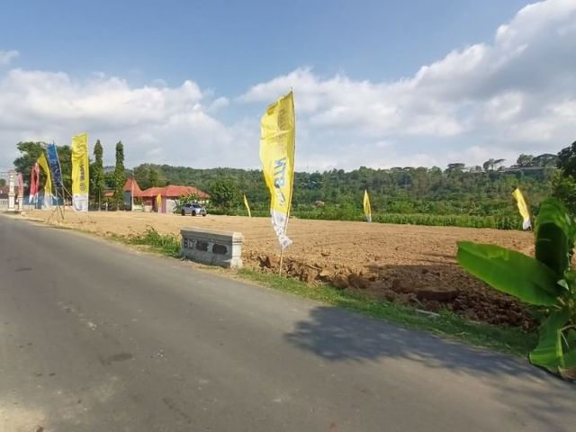 place photo 4