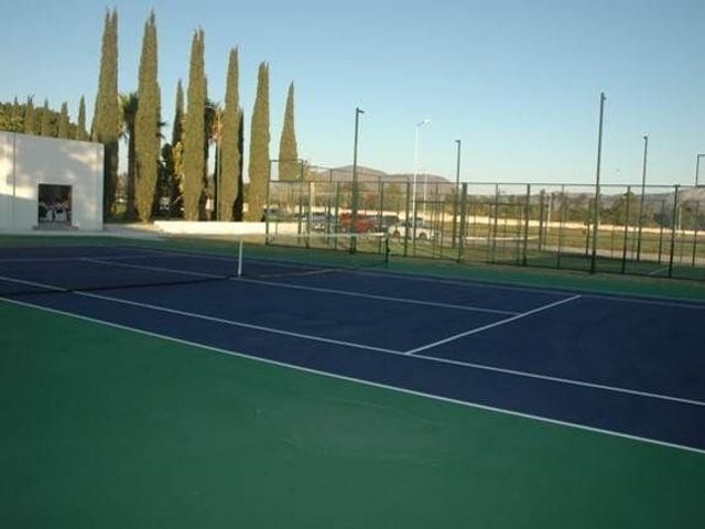 place photo 7