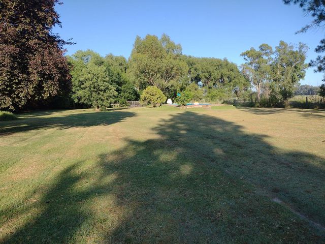 place photo 46