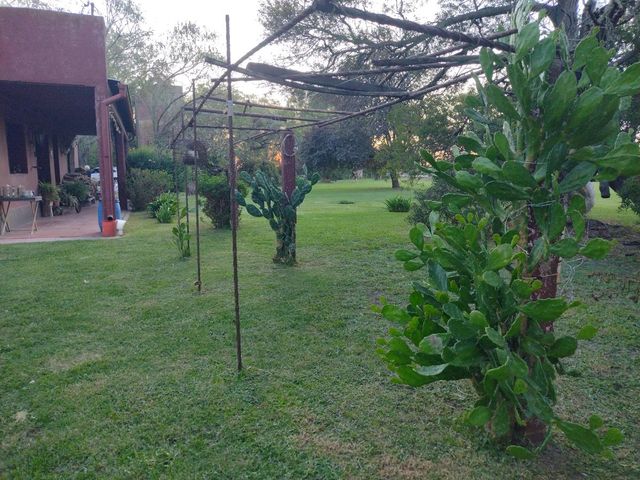 place photo 65