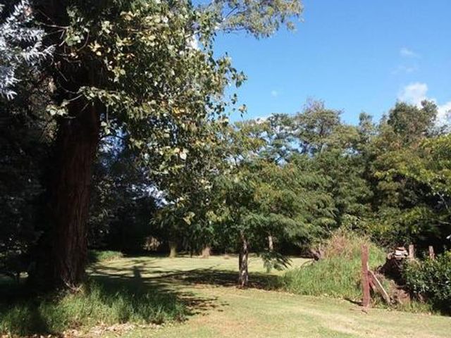 place photo 20