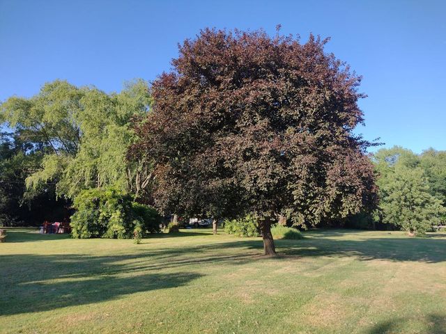 place photo 47