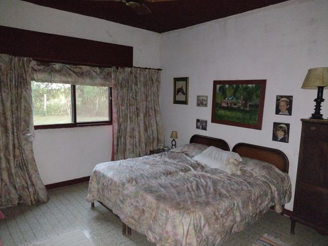 place photo 59